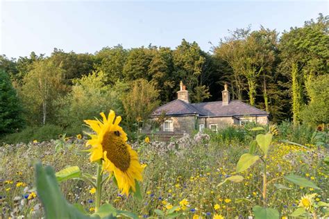 The Gardener's Bothy at Wildheart Escapes